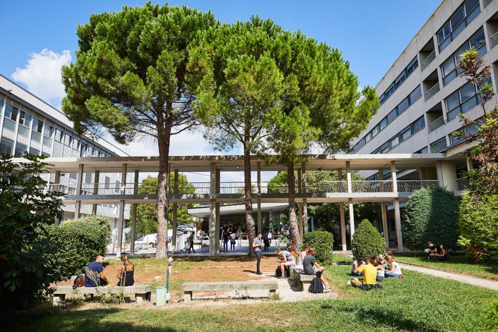 Campus Etoile (Saint-Jérôme et Château-Gombert) - Marseille 13ème - Crédit : Jean Fondacci