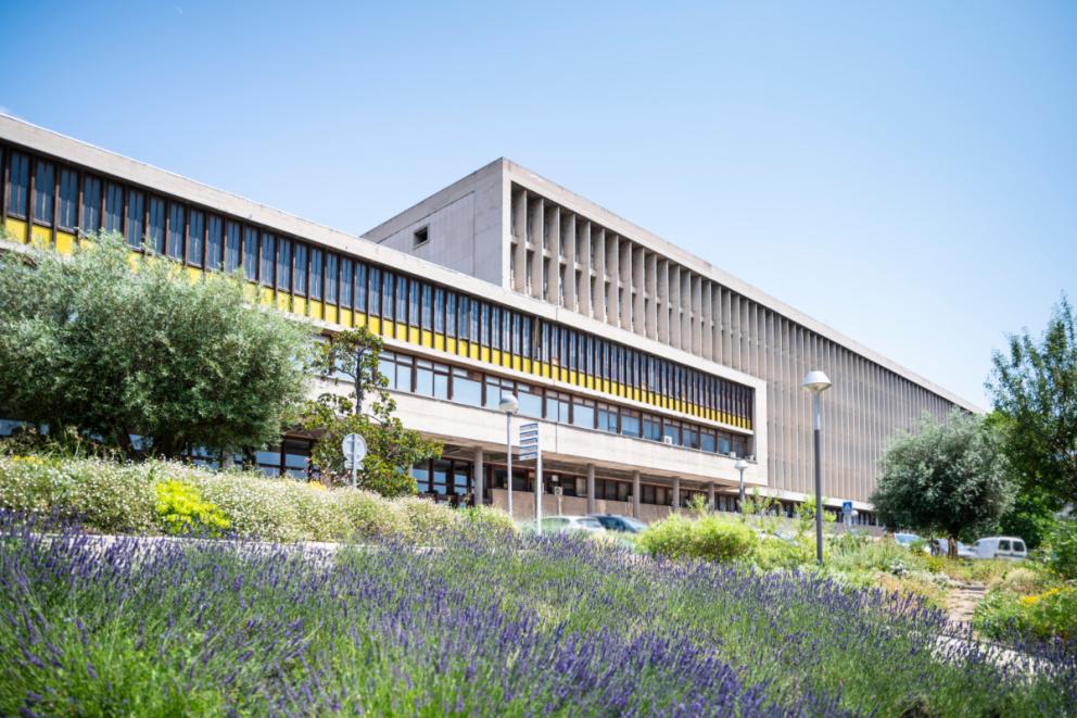 Campus La Timone – Marseille 5ème - Crédit : Elea Ropiot / amU