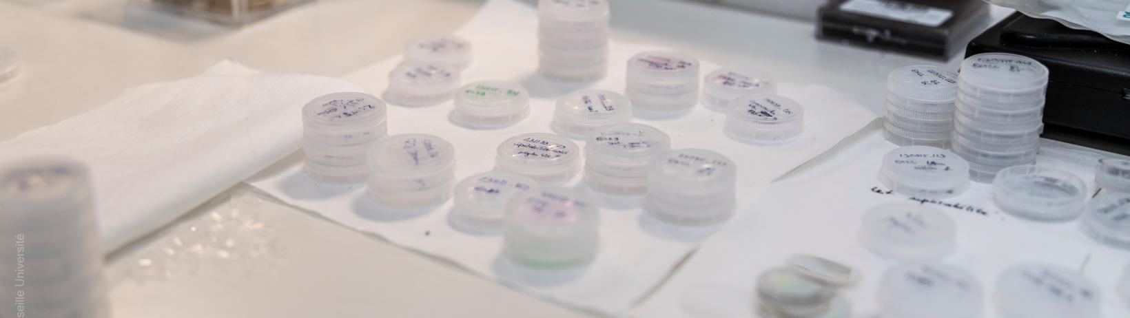 AMUtech - Credit: Elea Ropiot / amU